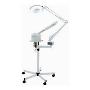 2 in 1 spa facial magnifying lamp salon