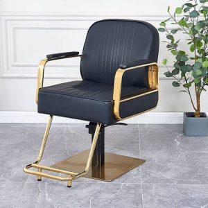 Barber Hair Chair Salon with Leg Rest