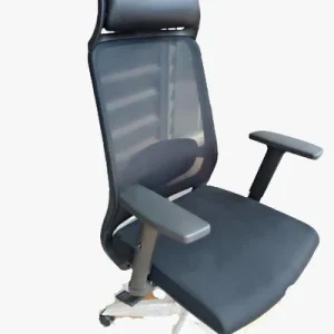 Ergonomic Mesh & Fabric Chair