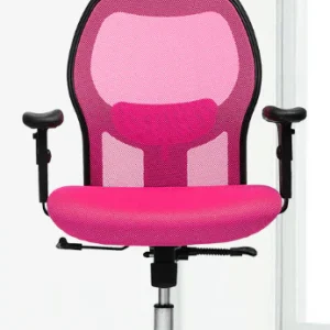 Ergonomic Mesh Chairs