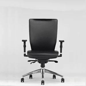 Executive Office Chair