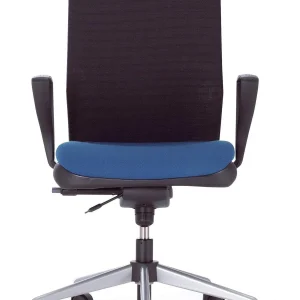 Executive Swivel