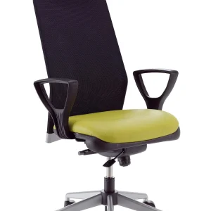 Executive Swivel