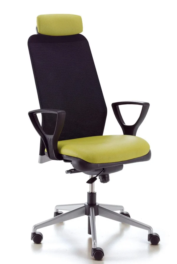 Executive Swivel