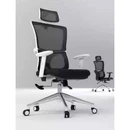 Mesh Ergonomic Executive Office Chair