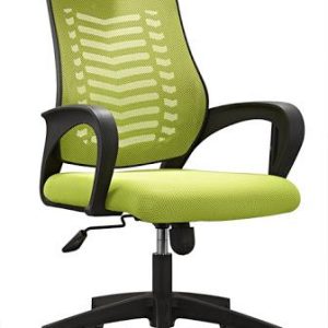 Mesh Swivel Chair green and black