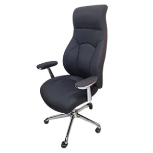 Senior Executive Chair