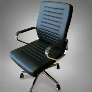 Senior Executive Chair Low Back
