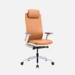 Brown Executive chair