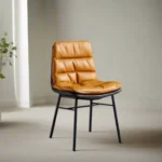 Design Dining Chair