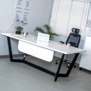 Eclectic Workstation Office Desk