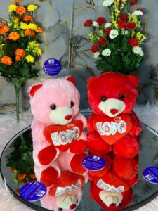 Teddy 3